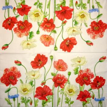 056 Narzissen - 3-lagig (weiß/blau) - Ihr